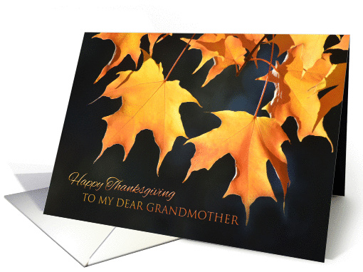 Thanksgiving for Grandmother - Golden Maple Leaves card (1057049)