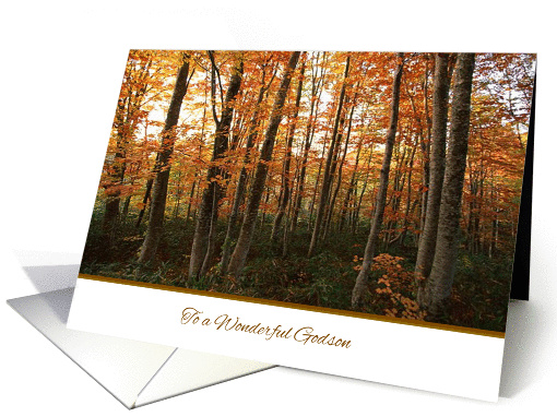 Thanksgiving to Godson - Autumn Forest card (1083972)