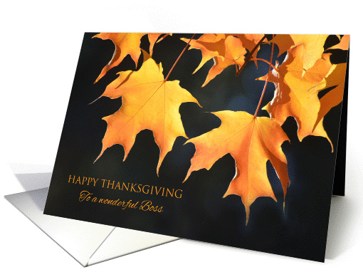 Business Happy Thanksgiving for Boss - Golden Maple Leaves card