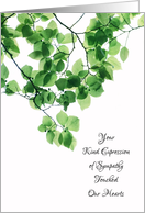 Sympathy Thank You - Branches of Green Leaves card