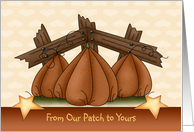 Happy Halloween from Our Patch to Yours - Pumpkins in Pumpkin Patch card