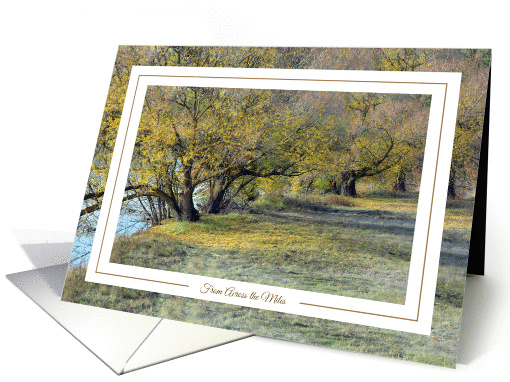 Thanksgiving From Across the Miles - Autumn Trees on the... (1127376)