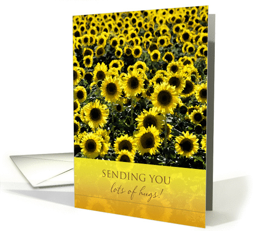 Thinking of You Sunflowers card (1153180)