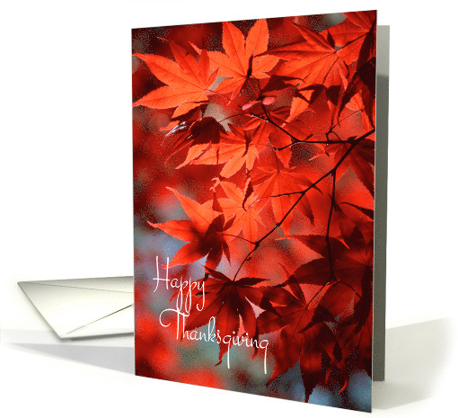 Thanksgiving - Radiant Red Fall Leaves card (1176974)