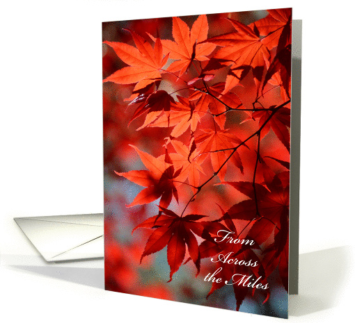 Thanksgiving From Across the Miles - Radiant Red Fall Leaves card