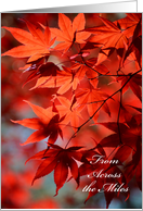 Thanksgiving From Across the Miles - Radiant Red Fall Leaves card