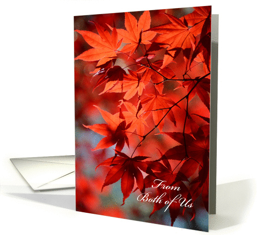 Thanksgiving From Both of Us - Radiant Red Fall Leaves card (1177368)