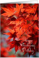 Thanksgiving Birthday - Radiant Red Fall Leaves card