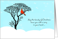 Christmas - Snow Scene with Red Cardinal in Tree card