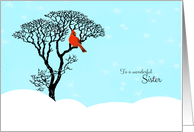 Christmas for Sister - Snow Scene, Red Cardinal in Tree card