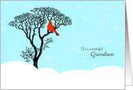 Christmas for Grandson - Snow Scene, Red Cardinal in Tree card