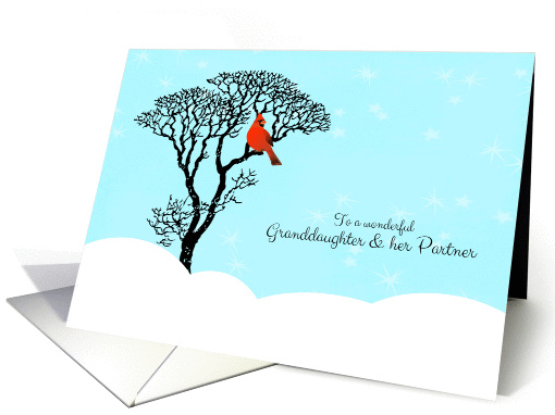 Christmas for Granddaughter and her Partner - Red... (1182090)