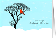 Christmas for Brother and Sister in Law - Red Cardinal in Tree card