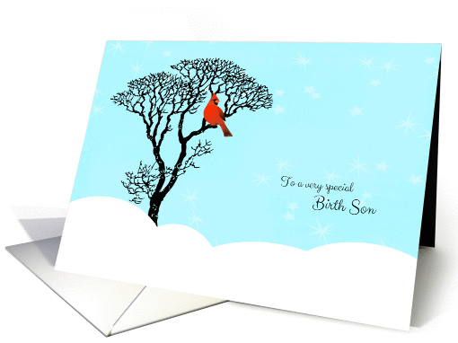Christmas for Birth Son - Red Cardinal in Tree card (1182776)
