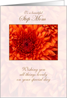 For Step Mom on Mother’s Day Orange Dahlia card