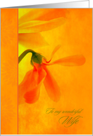 For Wife Birthday Glowing Orange Flowers card