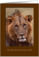 Happy Birthday for Son - I’m Dead Serious Lion card