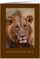 Happy Birthday for Niece - I’m Dead Serious Lion card