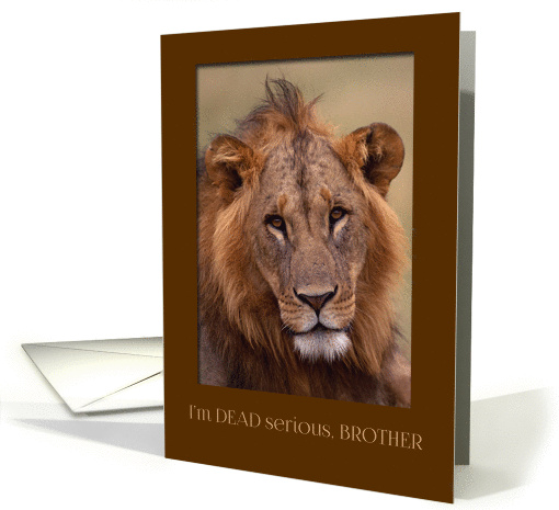 Happy Birthday for Brother - I'm Dead Serious Lion card (1241284)