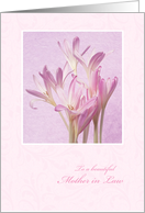 Mother’s Day for Mother in Law - Soft Pink Flowers card