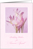 Birthday Wishes for Someone Special ~ Soft Pink Flowers card