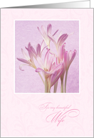 Birthday for Wife ~ Soft Pink Flowers card