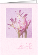 Birthday for Little Sister ~ Soft Pink Flowers card