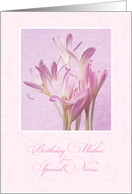 Birthday for Nurse ~ Soft Pink Flowers card