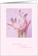 Birthday You’re Like an Aunt to Me ~ Soft Pink Flowers card