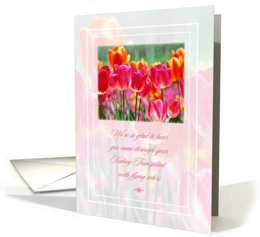 Kidney Transplant Get Well card (1269334)