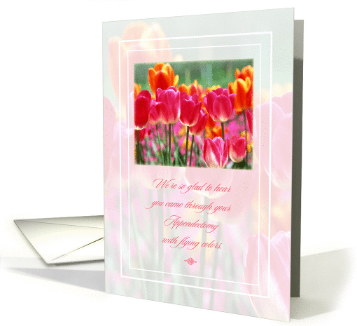 Appendectomy Get Well card (1269372)