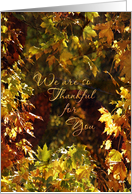 Business Thanksgiving Leaves We Are So Thankful for You card
