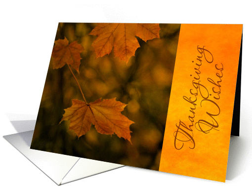 Thanksgiving Autumn Leaves card (1283018)