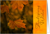 Thanksgiving Autumn Leaves card