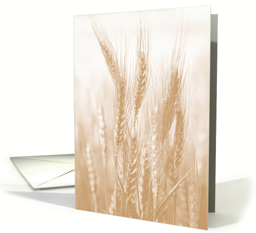 Golden Wheat Blank Note card (1299668)