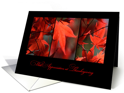 Business Thanksgiving - Red Autumn Leaves Trio card (1300272)