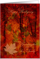 Thanksgiving for Granddaughter and Family Autumn Foliage card