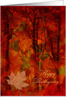 Happy Thanksgiving Autumn Foliage card