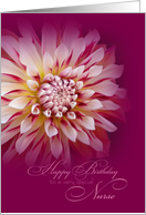 Happy Birthday Nurse - Dahlia Feminine Birthday card
