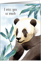 I Miss You So Much Panda Bear card