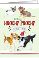 Christmas Dogs Hoochy Poochy with Festive Hats and Bone card