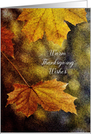 Warm Thanksgiving Wishes Autumn Leaves card