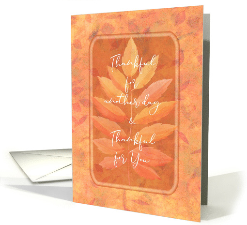 Happy Thanksgiving Thankful for You Autumn Leaves card (1585312)