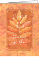 Happy Thanksgiving Thankful for You Autumn Leaves card