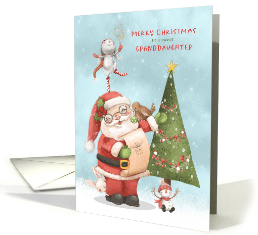 Christmas for Young Granddaughter Santa and his Friends card (1657928)