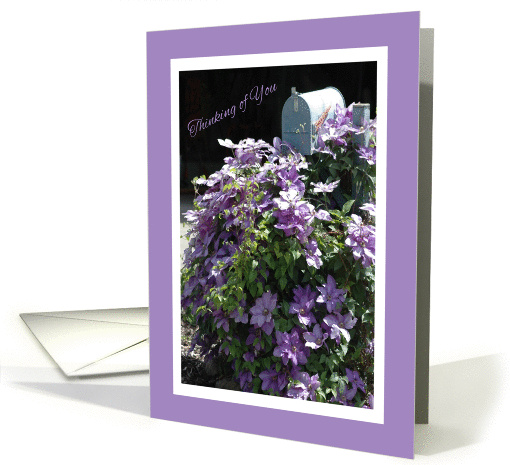 Thinking of You Mailbox and Clematis Blank card (865866)