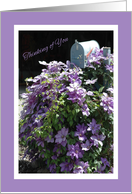 Thinking of You Mailbox and Clematis Blank card