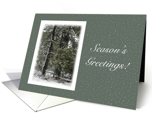 Season's Greetings Peaceful Trees in Winter Snow Scene card (868116)