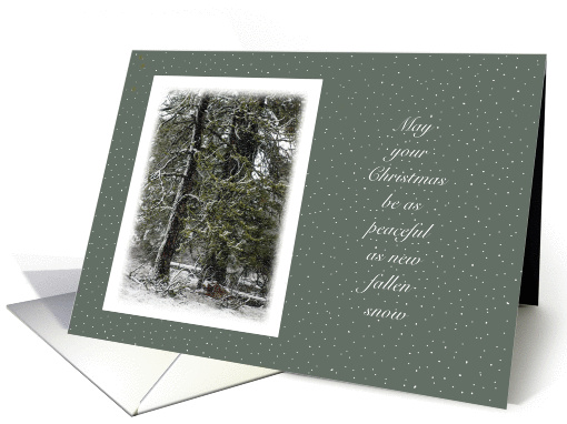 Christmas Peaceful New Fallen Snow card (868125)