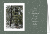 Christmas Peaceful New Fallen Snow card